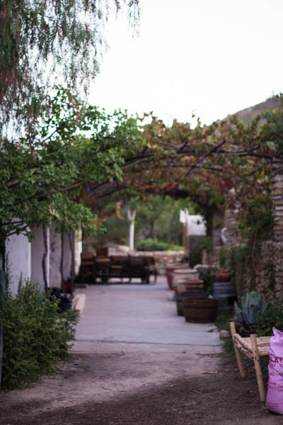 Wine Region Trip 544