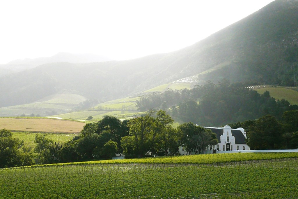 Groot Constantia harnesses people-power to go solar with Sun&nbsp;Exchange