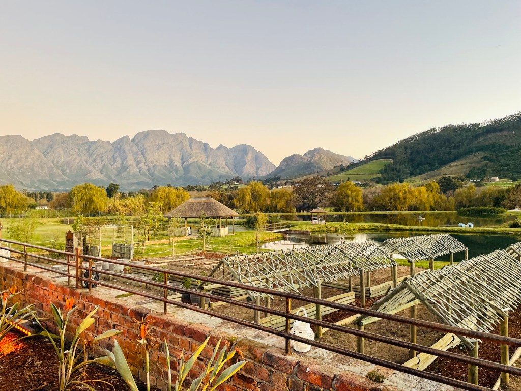 NEWS: Backsberg’s new official look and&nbsp;home